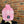 Load image into Gallery viewer, ALLGOODBRO? Beanie- PINK
